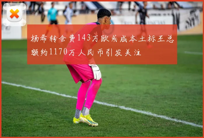 杨希转会费143万欧或成本土标王总额约1170万人民币引发关注