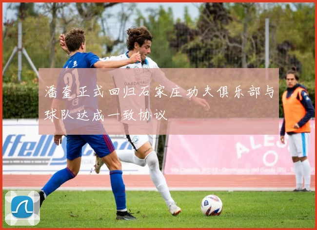 潘奎正式回归石家庄功夫俱乐部与球队达成一致协议