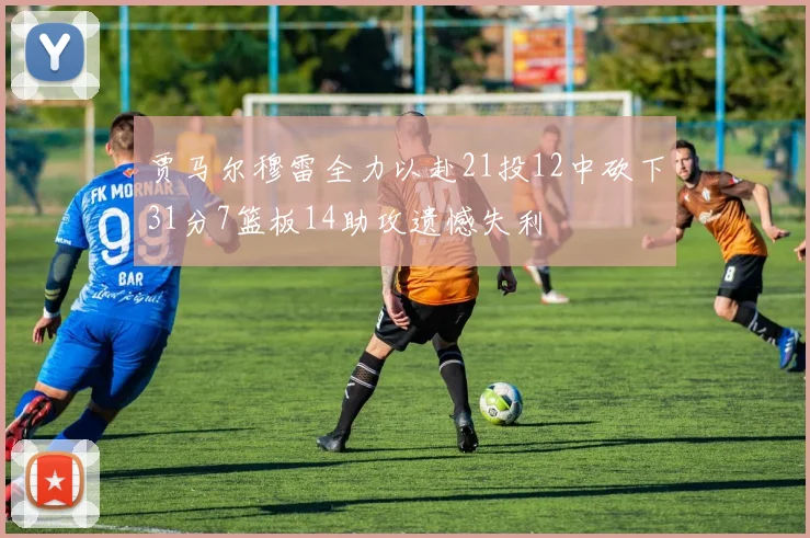 贾马尔穆雷全力以赴21投12中砍下31分7篮板14助攻遗憾失利
