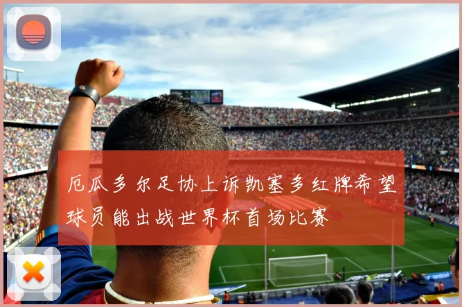 厄瓜多尔足协上诉凯塞多红牌希望球员能出战世界杯首场比赛