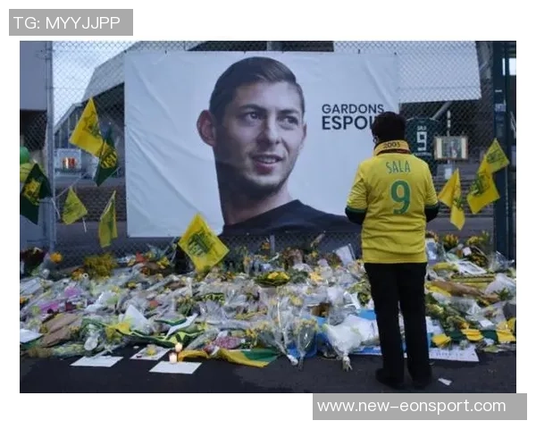 卡迪夫城就萨拉坠机事件向南特索赔12亿欧元提起诉讼