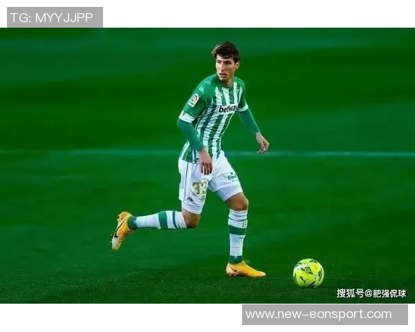 国米冬窗计划引援以填补邓弗里斯因手术缺阵至明年三月的空缺